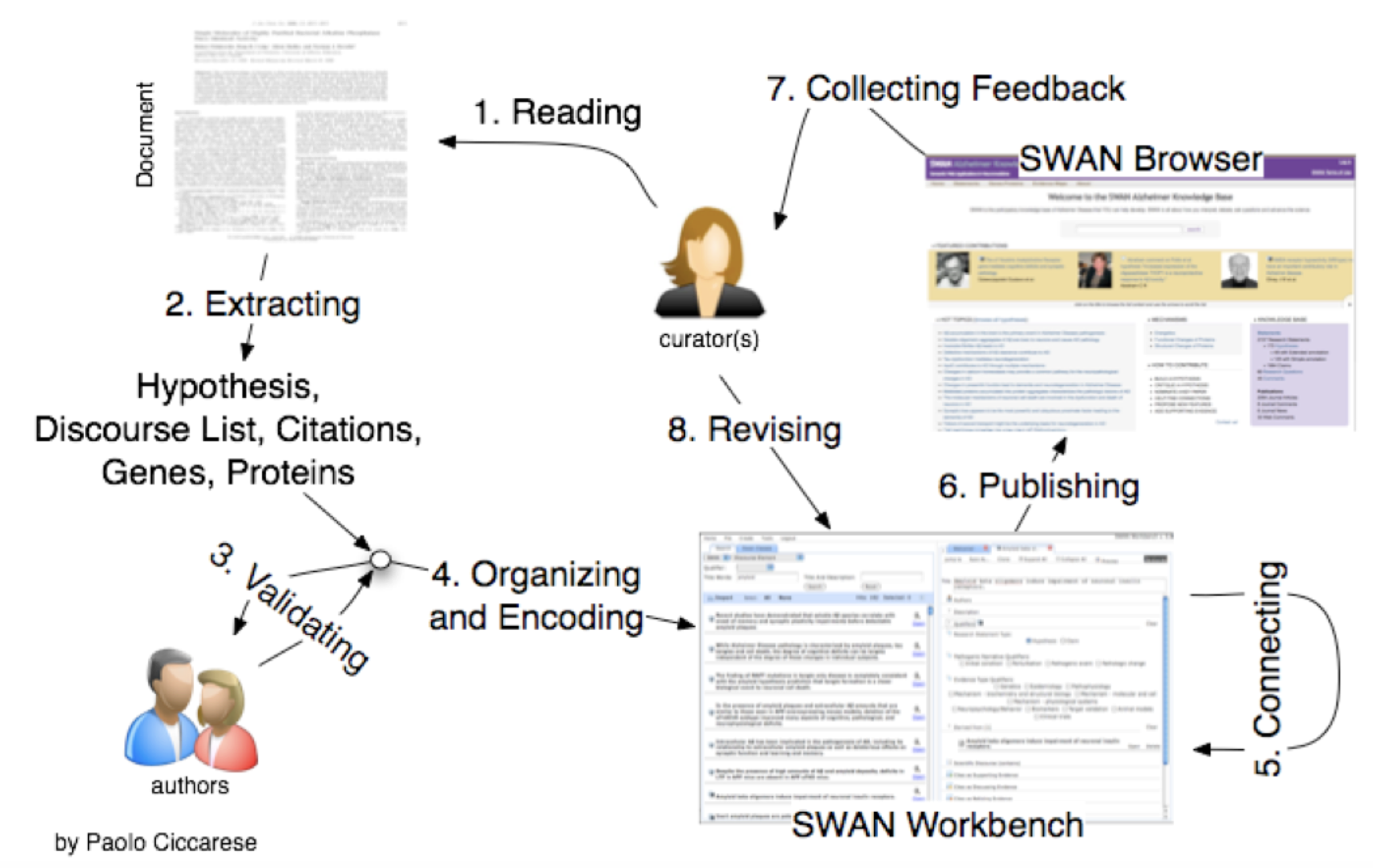 SWAN curation process by Dr. Paolo Ciccarese